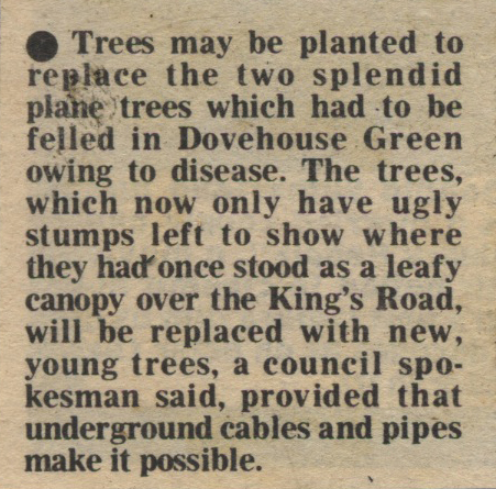 19810206 DOVEHOUSE GREEN TREES REPLACED CN.jpg